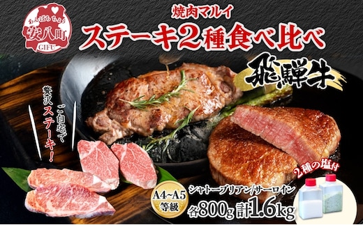 飛騨牛 ステーキ 2種 食べ比べ 計約1.6kg シャトーブリアン サーロイン 各約800g 肉 牛肉 和牛 ブランド牛 お肉 ビーフ A4ランク A5ランク 国産 お取り寄せ ご褒美 豪華 グルメ 焼肉 BBQ 人気 贈り物 自家用 贈答用 送料無料 焼肉マルイ 岐阜県 安八町
