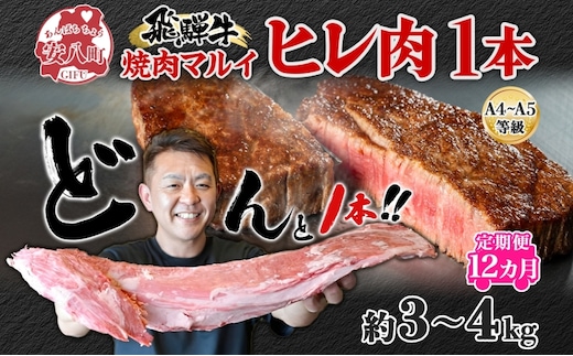 定期便 12ヶ月 飛騨牛 ヒレ肉 1本 A4～A5等級 約3～4kg 3割×6 ヒレ シャトーブリアン 肉 牛肉 ブランド牛 お肉 和牛 贅沢 お取り寄せ ご褒美 ステーキ 豪華 グルメ 焼肉 BBQ ギフト 贈り物 自家用 贈答用 送料無料 焼肉マルイ 岐阜県 安八町