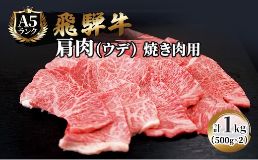 ふるさと納税 飛騨牛 牛肉 焼肉 肩肉 (ウデ) 500g×2 計1kg A5 和牛 