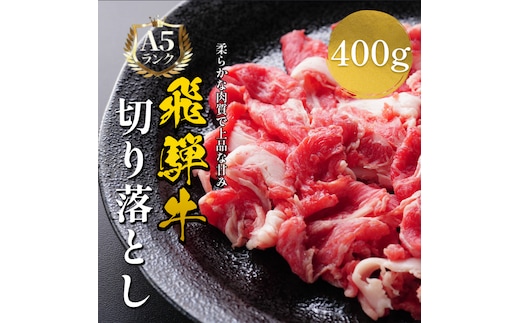 飛騨牛 牛肉 切り落とし 500g×2 計1kg A5 和牛 焼肉 もも肉 モモ バラ カルビ お肉 ブランド和牛 