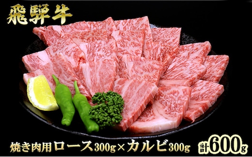 ふるさと納税 飛騨牛 ロース＆カルビ 焼肉 セット 計600g A5 和牛 牛肉 お肉 ロース カルビ 食べ比べ 焼肉用 バーベキュー BBQ 