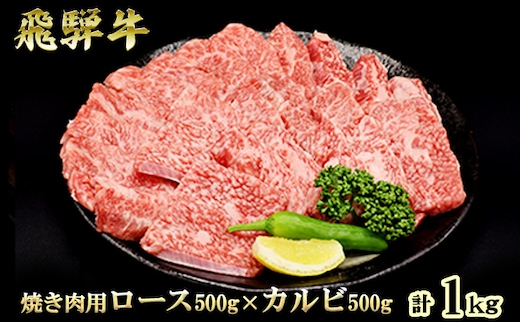 ふるさと納税 飛騨牛 ロース＆カルビ 焼肉 セット 計1kg A5 和牛 牛肉 お肉 ロース カルビ 食べ比べ 焼肉用 バーベキュー BBQ 
