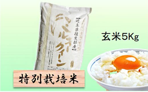 特別栽培米★玄米５kg 【ミルキークイーン】 お米 ブランド米 銘柄米 ご飯 おにぎり モチモチ 低アミロース米 冷めても美味しい 