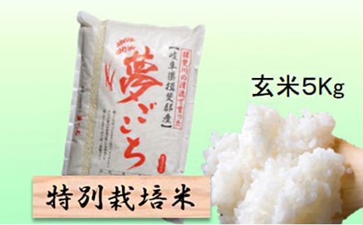 特別栽培米★玄米５kg 【夢ごこち】 お米 ブランド米 銘柄米 ご飯 おにぎり モッチリ 甘い 低アミロース米 冷めても美味しい 