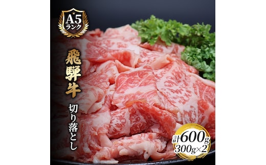 飛騨牛切り落とし 600ｇ(300g×2) 牛肉 お肉 国産 黒毛和種 柔らかい とろける くちどけが良い 霜降り 細かいサシ 食材 食卓 グルメ 