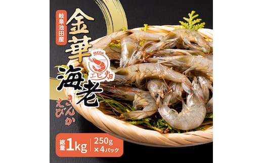 岐阜県池田町産 金華海老 250g×4パック 計1kg 海老 エビ えび 【配送不可：離島】