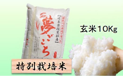 【令和7年産】特別栽培米 10kg【玄米】（夢ごこち）