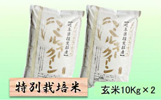 【令和7年産】特別栽培米 20kg【玄米】（ミルキークイーン）