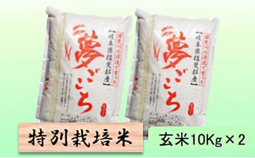 【令和7年産】特別栽培米 20kg【玄米】（夢ごこち）