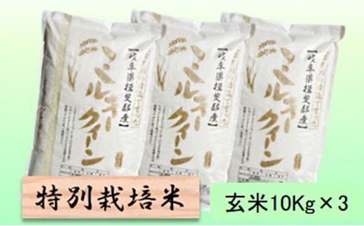 【令和7年産】特別栽培米 30kg【玄米】（ミルキークイーン）