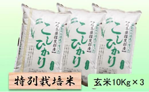 【令和7年産】特別栽培米 30kg【玄米】（コシヒカリ）