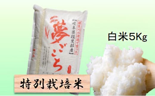 特別栽培米 【 令和8年産 】 白米 5kg 【 夢ごこち 】