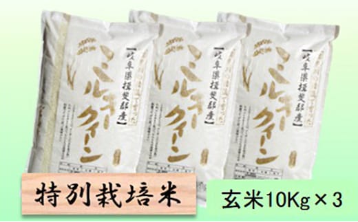 特別栽培米 【 令和8年産 】 玄米 30kg【 ミルキークイーン 】