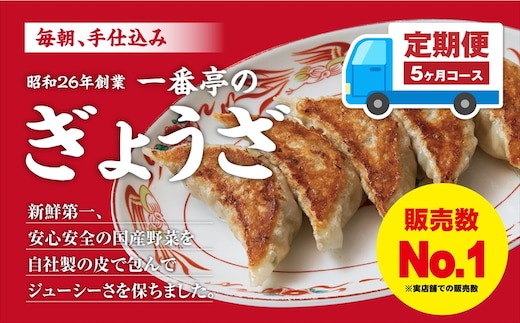 定期便 5ヶ月 冷凍餃子 63個 21個入り× 3箱 手仕込み 老舗 一番亭 モチモチ 皮 野菜 たっぷり 豚肉 満足感 晩ごはん 家族 お裾分け 子ども 弁当 惣菜 お取り寄せ 家庭用 餃子セット 冷凍食品 中華 三島市 静岡県