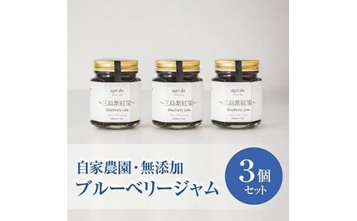 ブルーベリージャム 3個入り 100g×3個 化粧箱 フルーツ 果物 agri do 国産 手作り 朝食 パン トースト ヨーグルト 農家 富士山 南麓 自家農園 冷蔵保存 ショ糖 レモン果汁 三島市 静岡県