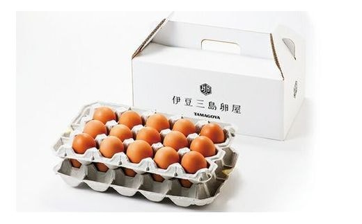 日の出たまご 45個入り 卵 たまご 生卵 玉子 箱根西麓 三島 ブランド 濃厚 黄身 養鶏 朝食 料理 お菓子作り平飼い 飼料 富士 伏流水 ぷっくり 弾力 たまごかけごはん 三島市 静岡県