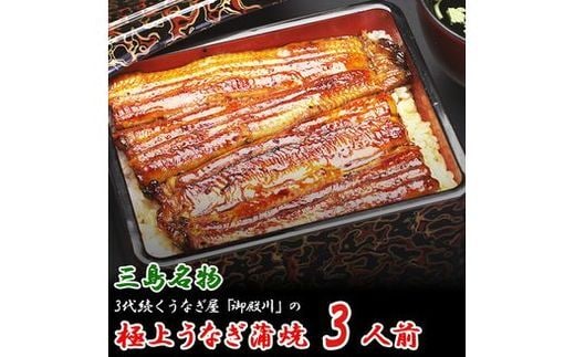 静岡 名産 うなぎ 蒲焼 3人前 360g 冷蔵 三島名物 3代続く うなぎ屋 真空パック 御殿川 土用丑の日 晩ごはん 家族 惣菜 ウナギ 老舗 高級 贈り物 ギフト プレゼント 鰻 うな重 うな丼 おかず お取り寄せ グルメ 郷土料理 和食 鰻重 鰻丼 特産品 三島市 静岡県