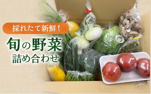 新鮮獲れたて！ まんさいかん島田 季節の野菜詰め合わせ セット 野菜セット 旬の野菜 旬 野菜詰め合わせ 野菜詰め合わせセット 産地直送 静岡 島田市