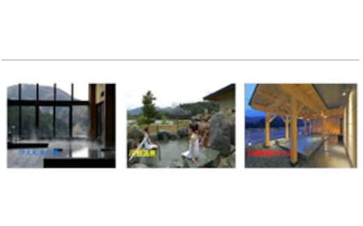 温泉めぐり利用券11枚 チケット 温泉利用券 