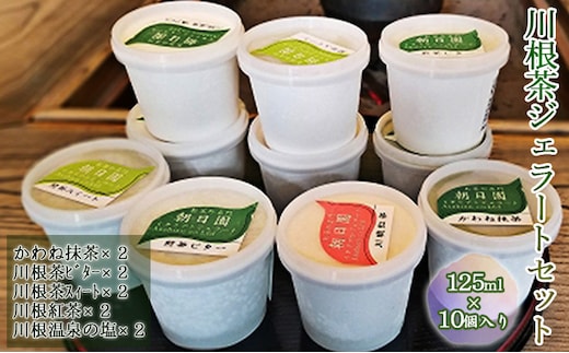 川根茶 ジェラート セット 10個入り (5種×2) 詰め合わせ 煎茶 紅茶 抹茶 アイス アイスクリーム デザート スイーツ お菓子 菓子 おやつ 静岡 静岡県 島田市
