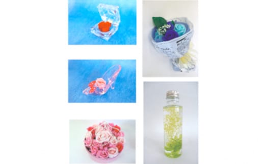 定期お届け 5回LS ５ヶ月連続お届け