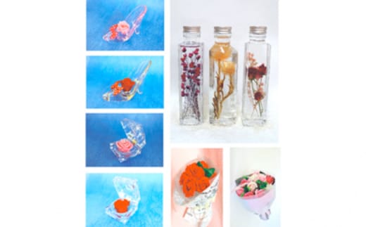 定期お届け 10回XLS １０ヶ月連続お届け