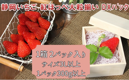 いちご 紅ほっぺ 大粒揃い DXパック 1箱 2パック セット フルーツ 果物 くだもの イチゴ 苺 大粒 果実 旬の果物 旬のフルーツ 静岡 静岡県 島田市 【配送不可：離島】