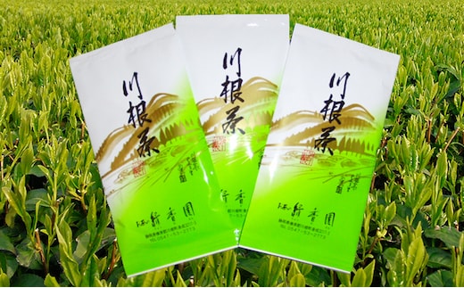 初摘み茶3本セット お茶 緑茶