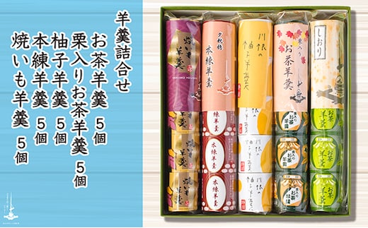 羊羹5個袋入り×5種 箱入り 和菓子 スイーツ ようかん 