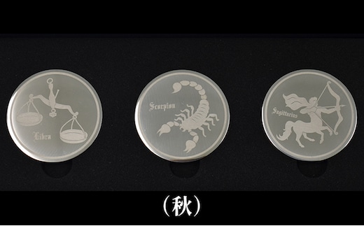 コイン型のアイスキューブ（秋） 雑貨 日用品 アイスコイン 氷 ステンレス 化粧箱 