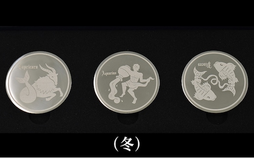 コイン型のアイスキューブ（冬） 雑貨 日用品 アイスコイン 氷 ステンレス 化粧箱 