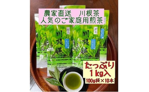川根茶 ご家庭用 普通煎茶やまびこ１kg (100g袋×10袋セット) お茶 緑茶 川根産 南アルプス 高級茶 自家製茶園 1kg