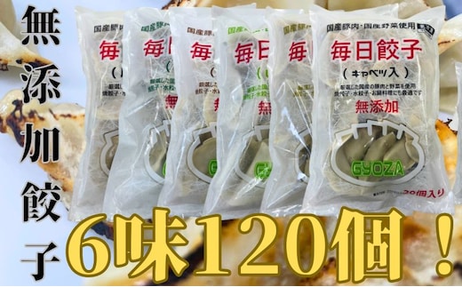 安心安全の無添加冷凍ぎょうざ！6種（キャベツ・唐辛子・ニンニク・野菜・レタス・生姜）合計120個！ 加工食品 惣菜 冷凍惣菜 おかず 中華 国産豚肉 国産野菜 鍋料理 