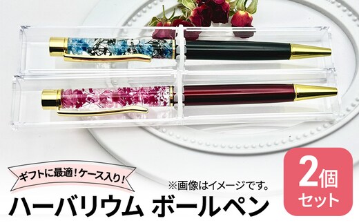 ハーバリウム ボールペン2本セット ケース入り！ ハンドメイド 雑貨 ギフト プレゼント 小物 手作業 世界に一つ ハンドメイド作品 かわいい 贈り物 置物 