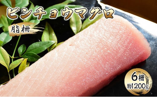 ビンチョウマグロ 脂柵 6柵（約1200g）【配送不可：離島】【 まぐろ 刺身 冷凍 びんちょう 】 