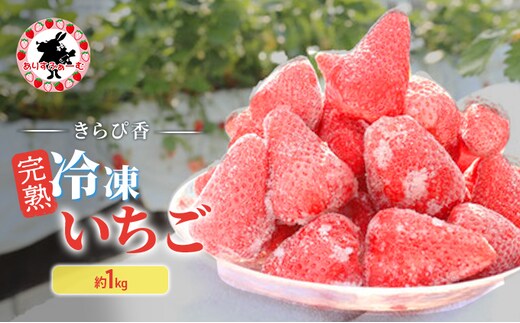 いちご 冷凍 静岡 ありすふぁーむ 渡瀬の「きらぴ香」完熟冷凍いちご 約1kg 苺 イチゴ 【島田市】