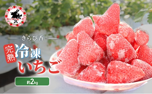 いちご 冷凍 静岡 ありすふぁーむ 渡瀬の「きらぴ香」完熟冷凍いちご 約2kg 苺 イチゴ 【島田市】