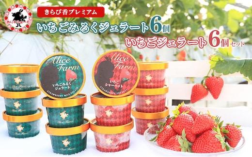 いちご ジェラート セット 静岡 ありすふぁーむ 渡瀬の「きらぴ香プレミアムいちごみるくジェラート・いちごジェラート」 12個セット イチゴ 苺 【島田市】