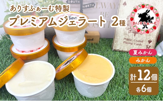 みかん ジェラート セット 静岡 ありすふぁーむ みかんジェラート 夏みかんジェラート 12個セットみかん 夏みかん 冷凍【島田市】