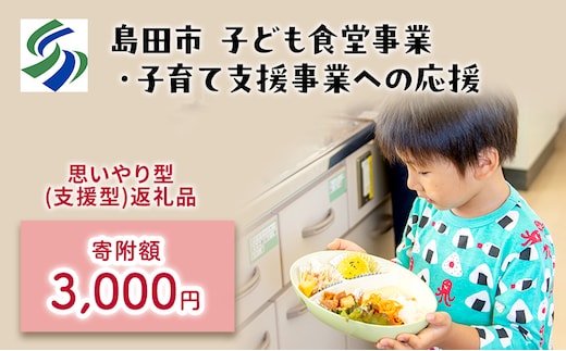 【思いやり型(協賛型)返礼品】島田市 子ども食堂事業・子育て支援事業への応援 【返礼品なし】(3000円)