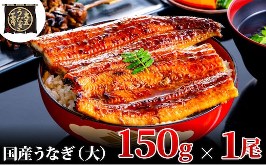 うなぎ蒲焼 150g×1尾 うなぎ ウナギ 鰻 蒲焼 蒲焼き冷凍 国産 大五 大五通商 静岡 島田市