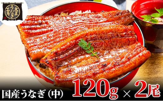 うなぎ蒲焼 120g×2尾(240g) うなぎ ウナギ 鰻 蒲焼 蒲焼き冷凍 国産 大五 大五通商 静岡 島田市
