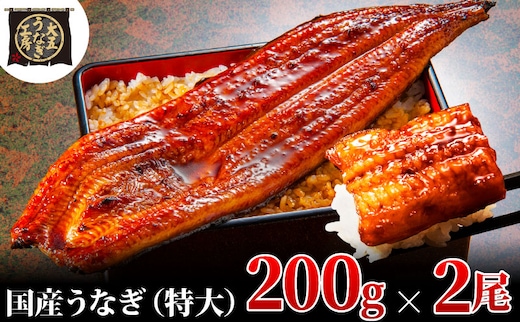 うなぎ蒲焼 200g×2尾(400g) うなぎ ウナギ 鰻 蒲焼 蒲焼き冷凍 国産 大五 大五通商 静岡 島田市