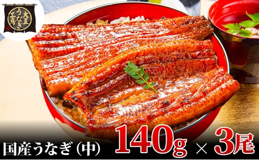 うなぎ蒲焼 140g×3尾(420g) うなぎ ウナギ 鰻 蒲焼 蒲焼き冷凍 国産 大五 大五通商 静岡 島田市