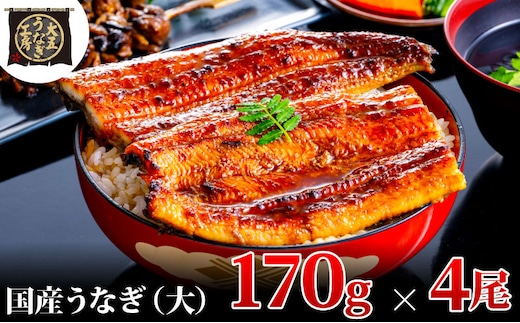 うなぎ蒲焼 170g×4尾(680g) うなぎ ウナギ 鰻 蒲焼 蒲焼き冷凍 国産 大五 大五通商 静岡 島田市
