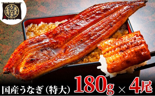 うなぎ蒲焼 180g×4尾(720g) うなぎ ウナギ 鰻 蒲焼 蒲焼き冷凍 国産 大五 大五通商 静岡 島田市