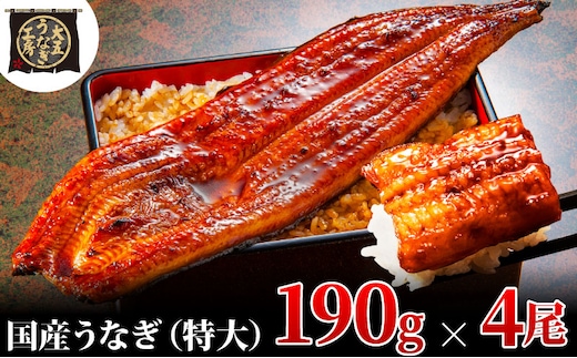 うなぎ蒲焼 190g×4尾(760g) うなぎ ウナギ 鰻 蒲焼 蒲焼き冷凍 国産 大五 大五通商 静岡 島田市