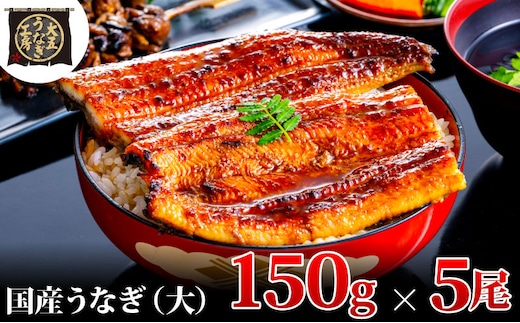 うなぎ蒲焼 150g×5尾(750g) うなぎ ウナギ 鰻 蒲焼 蒲焼き冷凍 国産 大五 大五通商 静岡 島田市