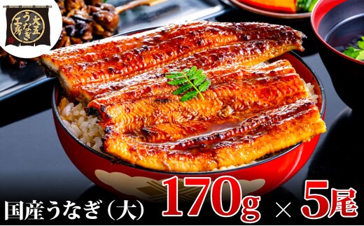 うなぎ蒲焼 170g×5尾(850g) うなぎ ウナギ 鰻 蒲焼 蒲焼き冷凍 国産 大五 大五通商 静岡 島田市