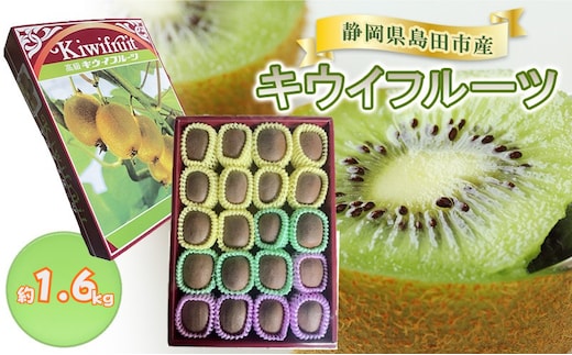キウイフルーツ 約1.6kg キウイフルーツ 箱 フルーツ 果物 ギフト 贈答 お歳暮 お年賀 静岡県 島田市